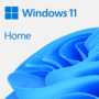 Licen A Microsoft Windows Home Kabum