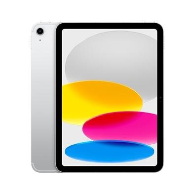 あ*ン様 ジャンクiPad 9 シルバー　256GB Apple iPad 10.2