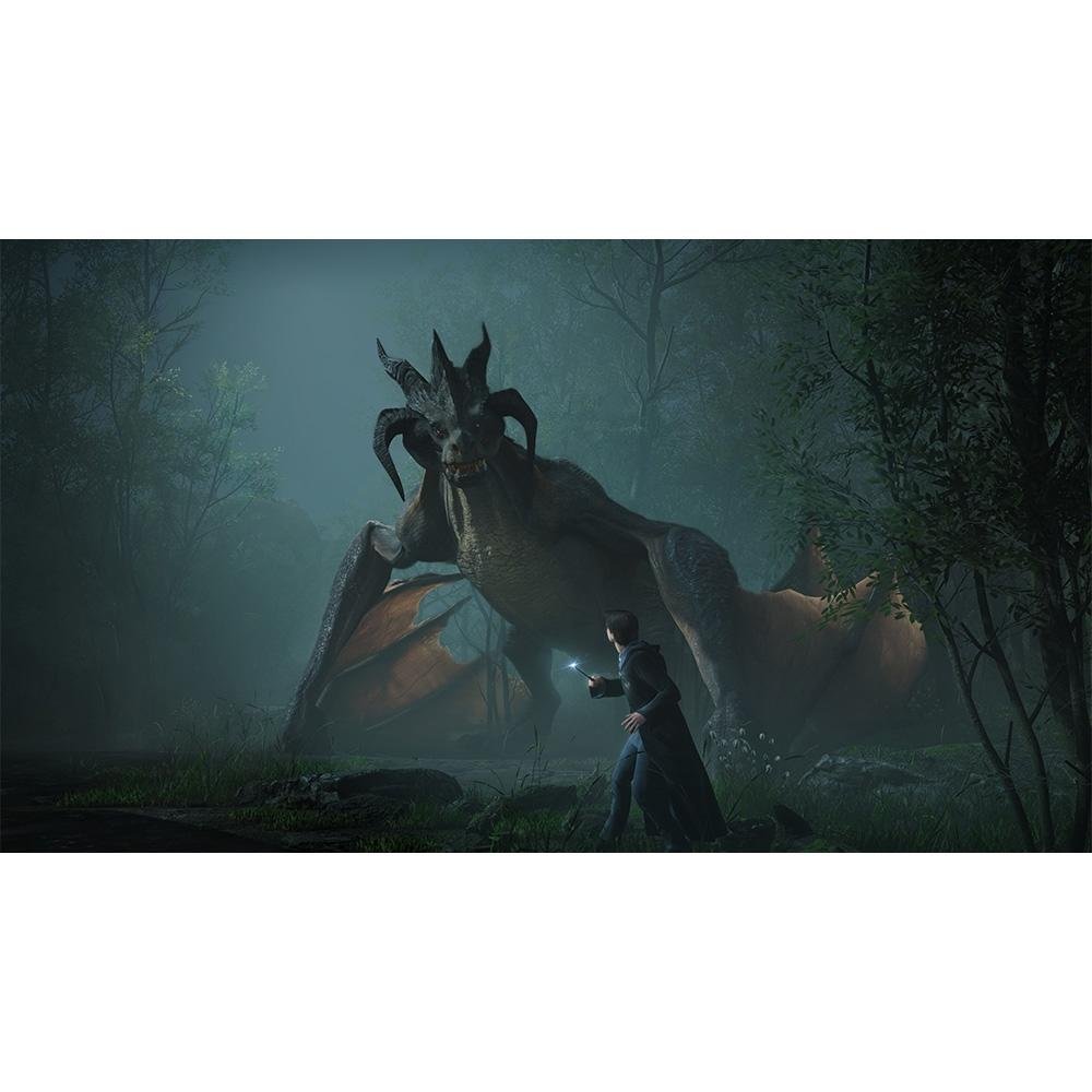 Jogo Hogwarts Legacy Vanilla ED, PS5 - WB000017PS5