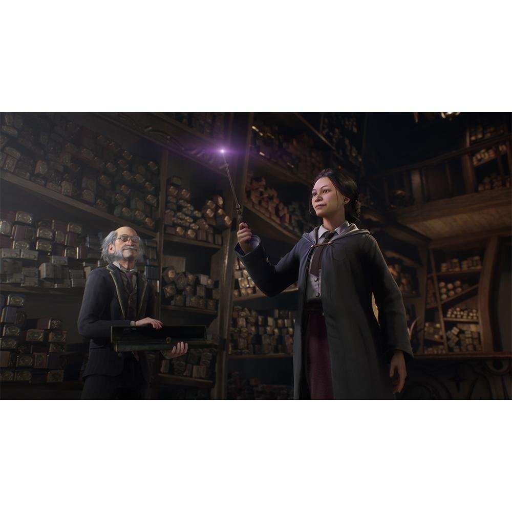 Jogo Hogwarts Legacy Vanilla ED, PS5 - WB000017PS5