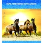 Papel Masterprint Foto Glossy Auto Adesivo 130g/m A4-20fls Der 4