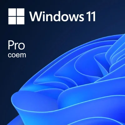 Windows-11-Pro-32-64-Bits-