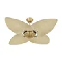 Ventilador De Teto Kovalski Dourado Office 4 Pás Palmae Natural 220v