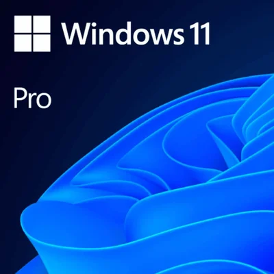 WINDOWS-11-Professional-Vers-o