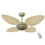 Ventilador Volare Off P Palmae Natural 127v Controle Remoto