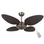 Ventilador Volare Off P Palmae 220v E Controle Remoto