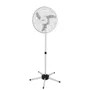 Ventilador Pedestal Oscilante 50 Cm Pp 220v Branco