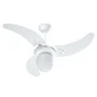 Ventilador Búzios Branco 220v 3 Pás Brancas