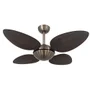 Ventilador De Teto Volare Office Petalo Palmae 110v