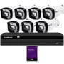 Kit Cftv 7 Câmeras Ip Intelbras Nvd 1408p Hd 2TB Purple
